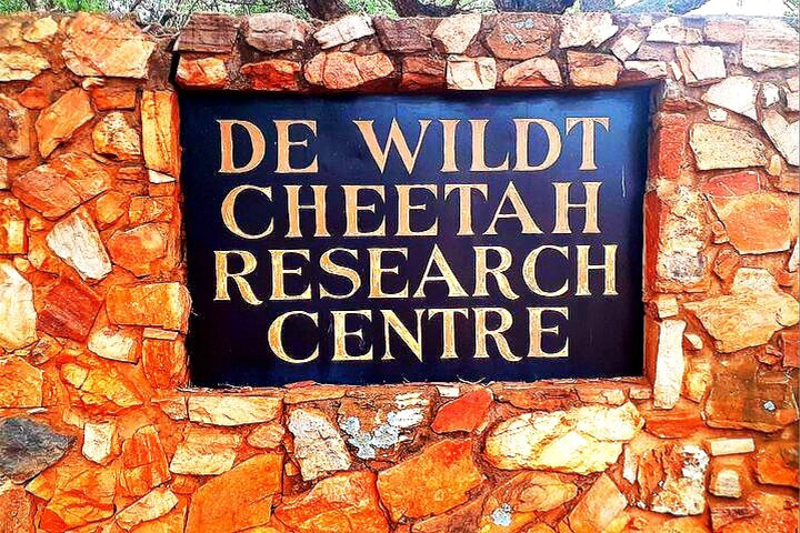 Ann de-wildt cheetah tour - Photo 1 of 7